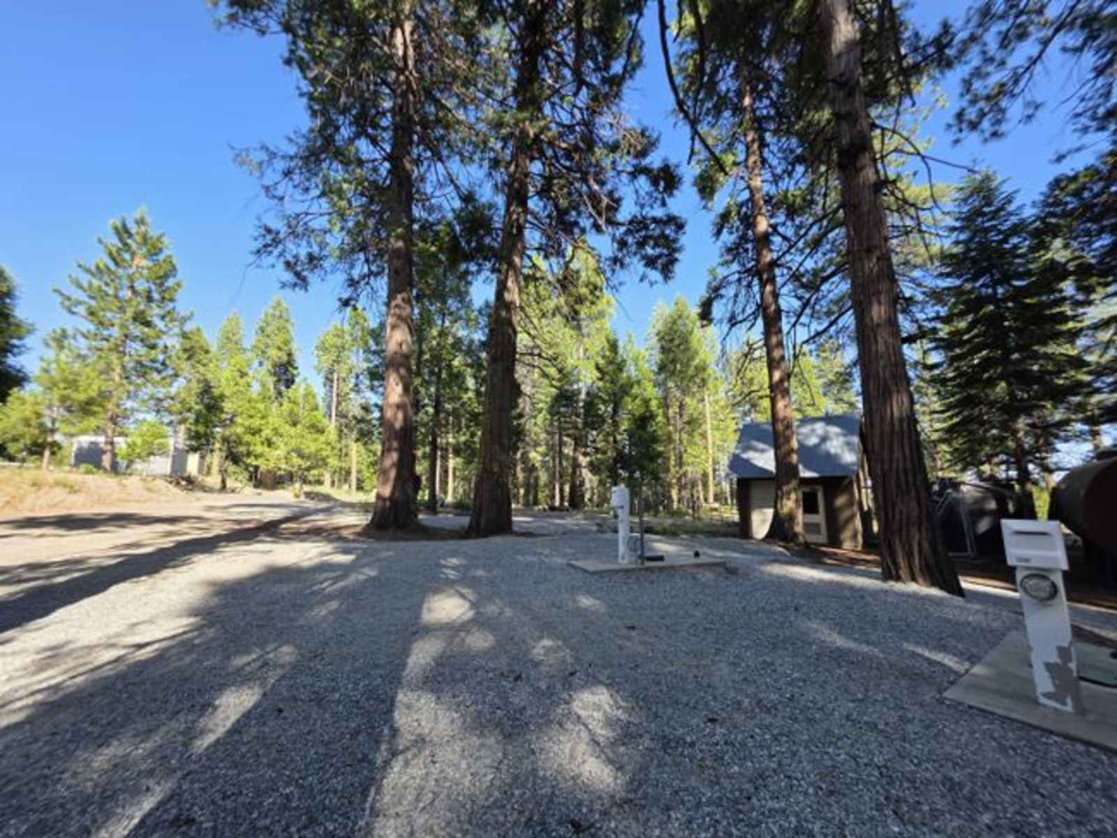 Cook's Station Campground - Pioneer, California - glamping.directory