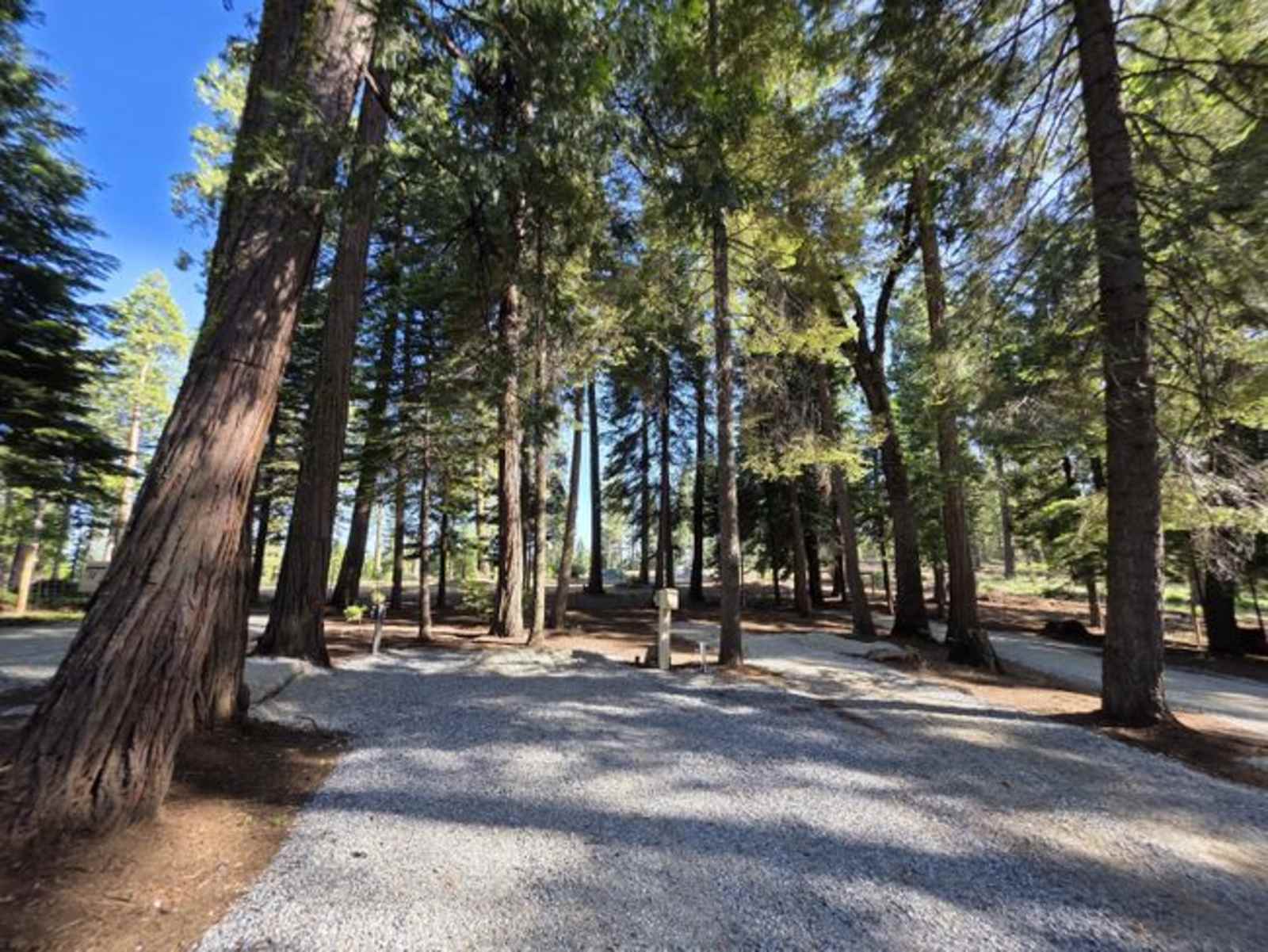 Cook's Station Campground - Pioneer, California - glamping.directory