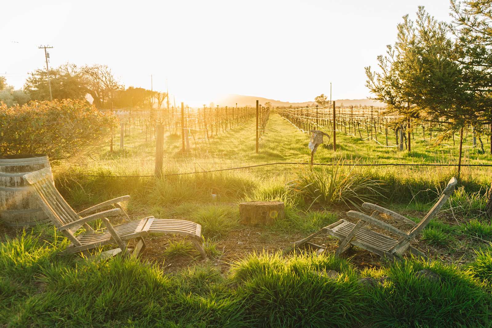 Pharo Pharms Organic Farm- - glamping.directory