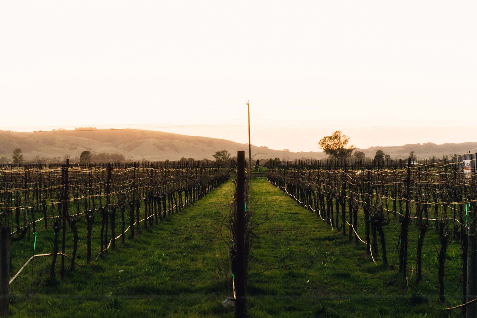Pharo Pharms Organic Farm- - Sonoma, California - glamping.directory