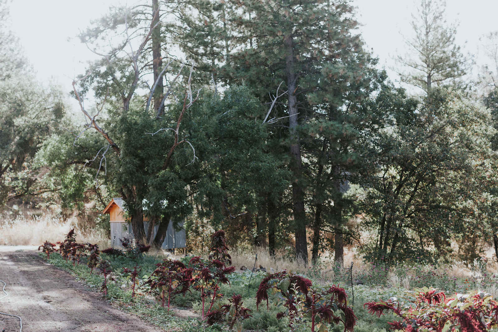 Foothill Ridge - Somerset, California - glamping.directory