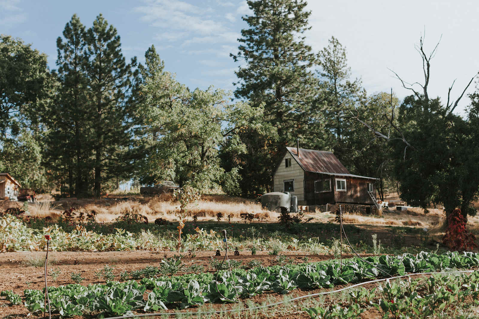 Foothill Ridge - Somerset, California - glamping.directory