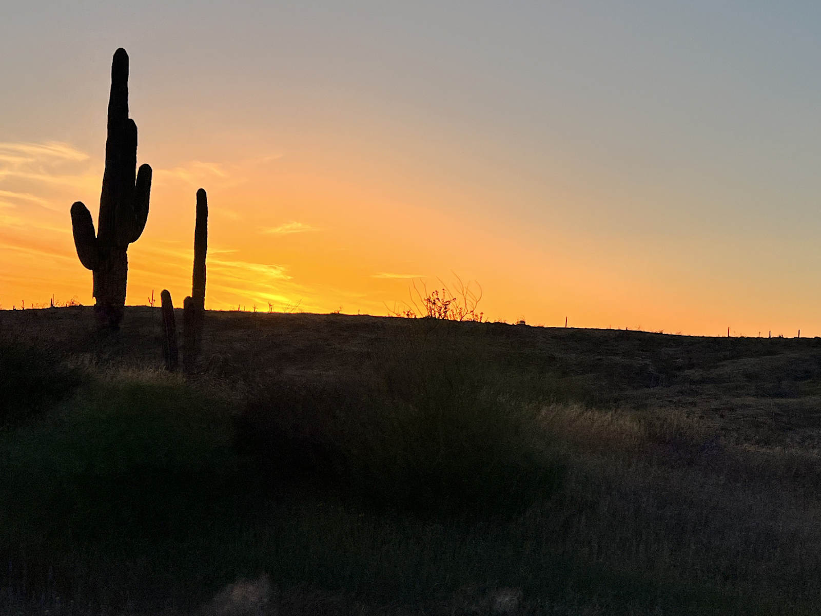 Jakes Corner RV Park - Payson, Arizona - glamping.directory