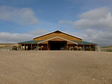 All-Inclusive Cabin Suites on Award-Winning Dude Ranch in Northern Colorado - New Raymer, Colorado - glamping.directory