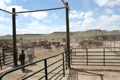 All-Inclusive Cabin Suites on Award-Winning Dude Ranch in Northern Colorado - New Raymer, Colorado - glamping.directory