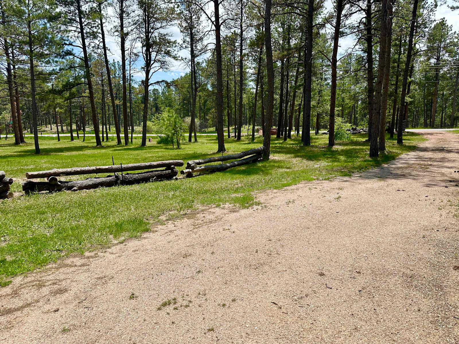 Camper/RV/Tent in the Trees - glamping.directory