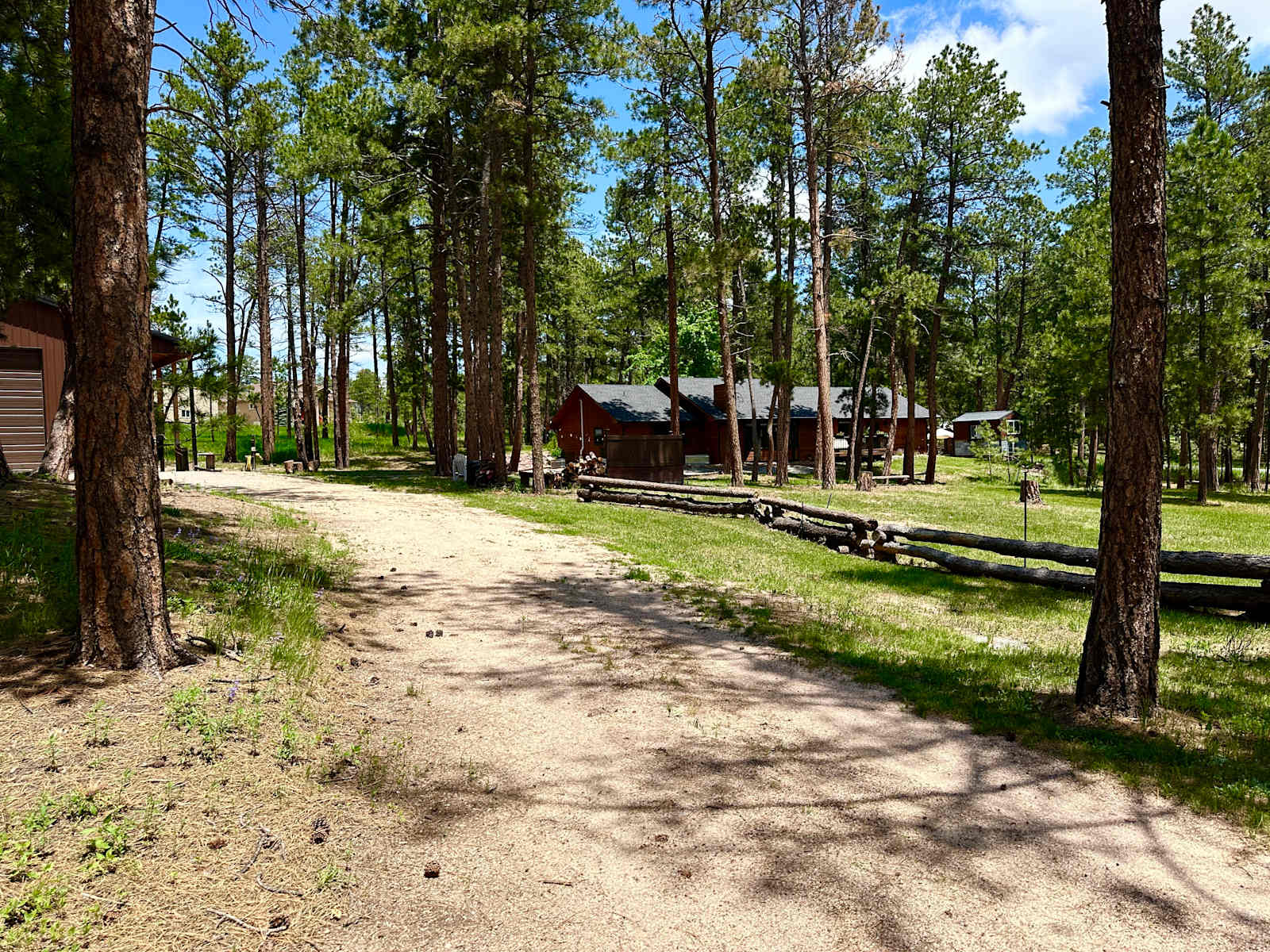 Camper/RV/Tent in the Trees - Colorado Springs, Colorado - glamping.directory