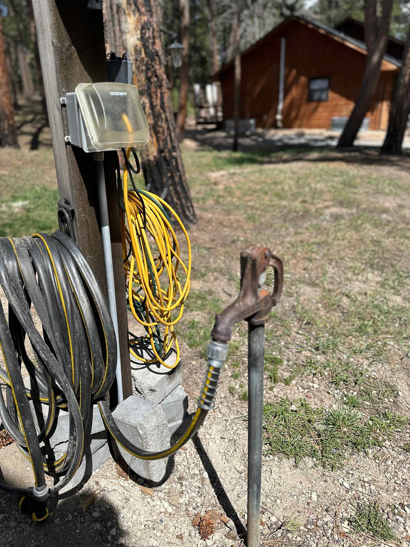 Camper/RV/Tent in the Trees - Colorado Springs, Colorado - glamping.directory