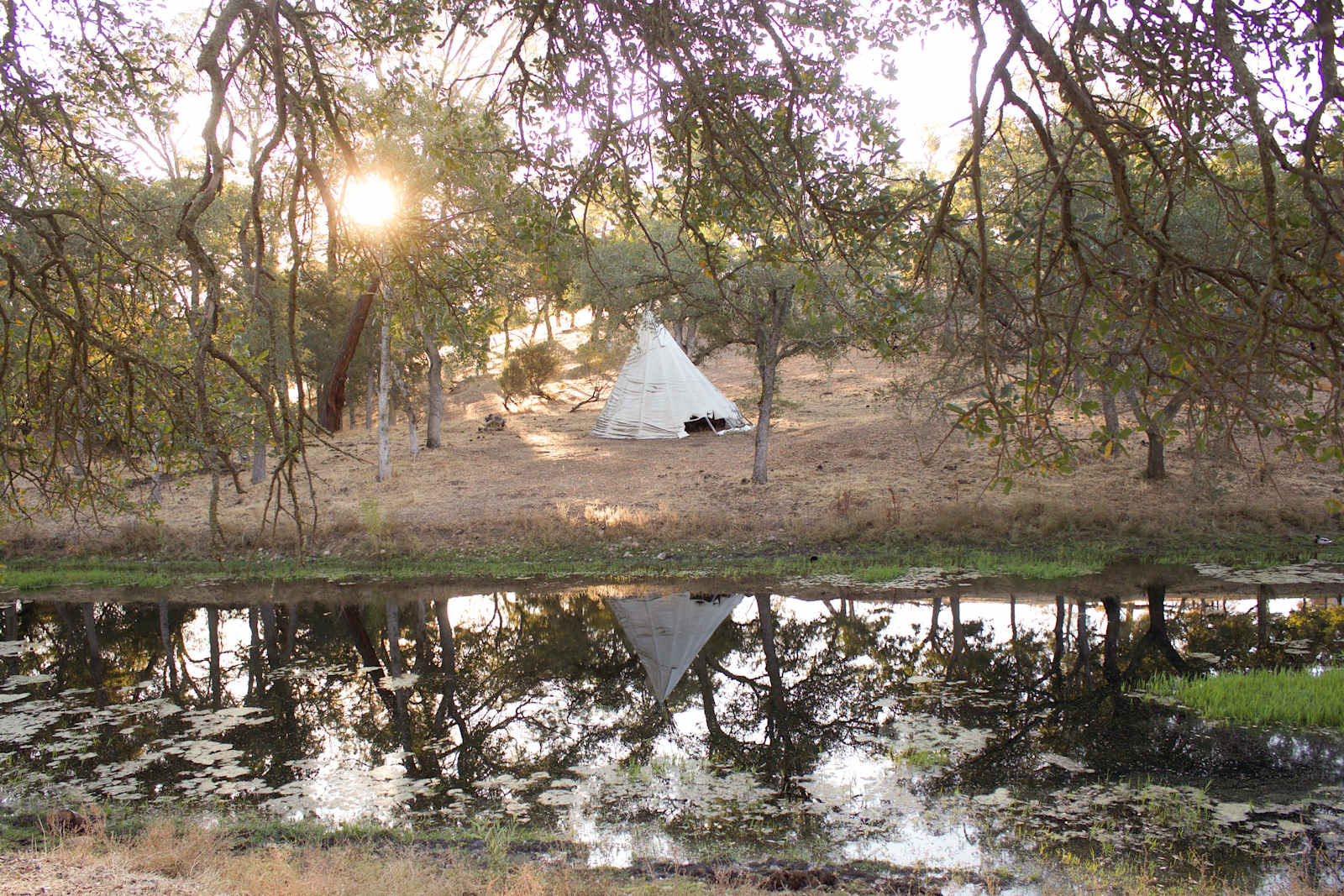 Raven Bear Ranch - Ione, California - glamping.directory
