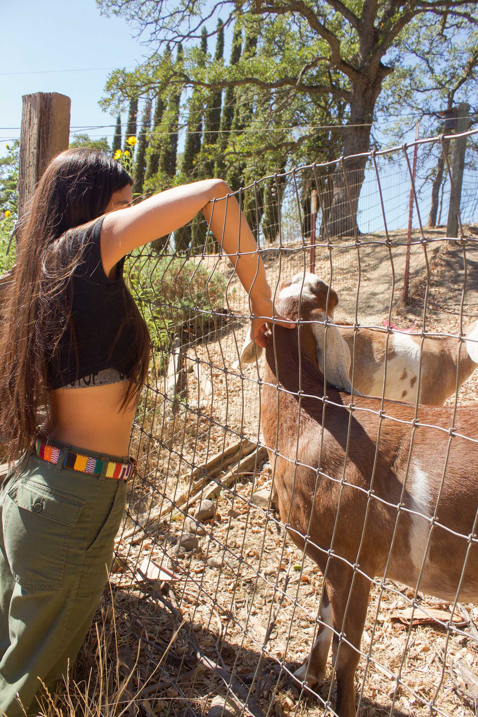 Raven Bear Ranch - Ione, California - glamping.directory