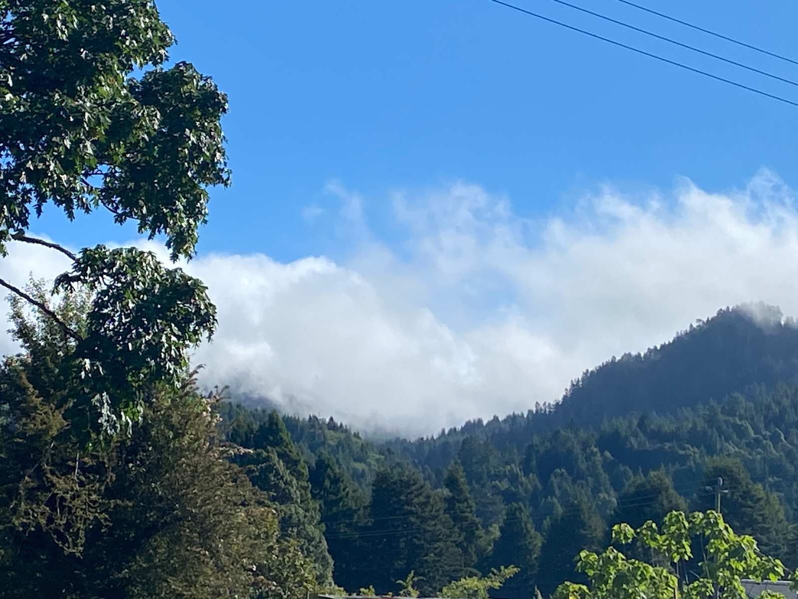 River Song Camp - Arcata, California - glamping.directory