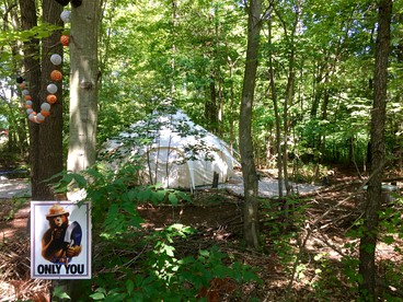 Luxury Camping Tent near Oaks Opening Preserve in Swanton, Ohio - glamping.directory