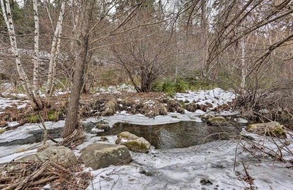 Lush Creekside Vacation Rental Haven near Mount Rushmore in South Dakota - Keystone, South Dakota - glamping.directory