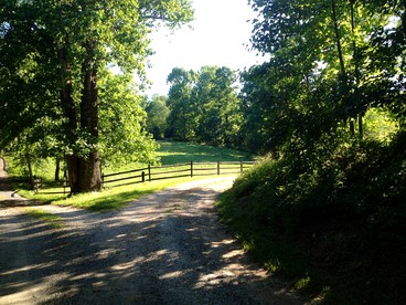 Charming Vacation Rental in a Barn on a Horse Farm near Afton Mountain in Virginia - Afton, Virginia - glamping.directory
