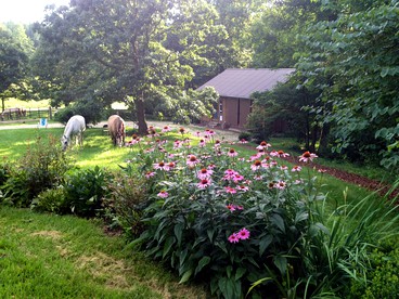 Charming Vacation Rental in a Barn on a Horse Farm near Afton Mountain in Virginia - Afton, Virginia - glamping.directory