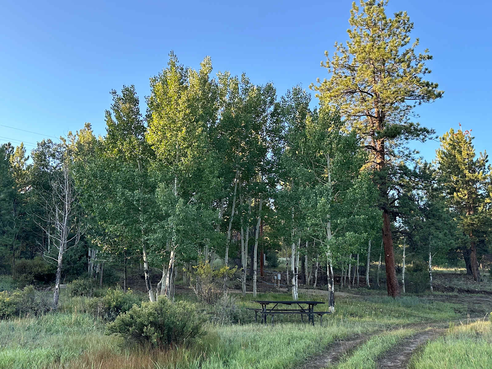 Close to Adventure Camping - Villa Grove, Colorado - glamping.directory