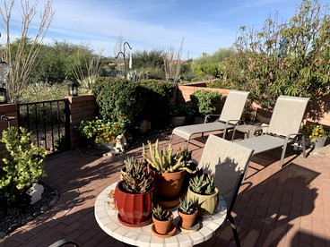 Impressive Desert Cottage with Great Views in Green Valley, Arizona - Green Valley, Arizona - glamping.directory