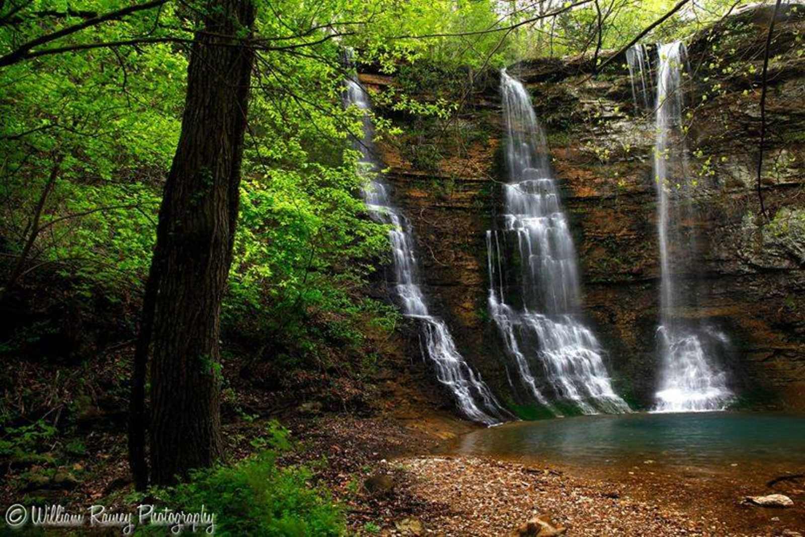 Wilderness Rider Buffalo Ranch - Ponca, Arkansas - glamping.directory