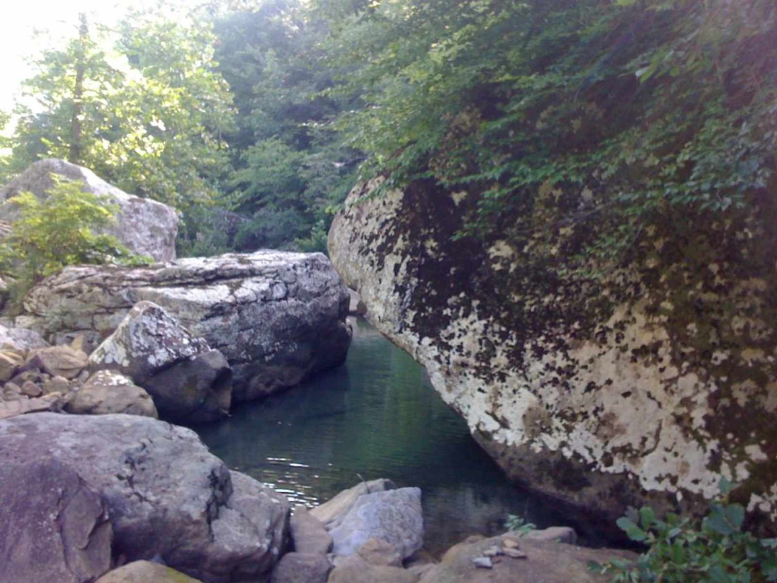 Wilderness Rider Buffalo Ranch - Ponca, Arkansas - glamping.directory