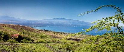 Luxury Beachside Cottage Rental for Three in Kamuela, Hawaii - Kamuela, Hawaii - glamping.directory