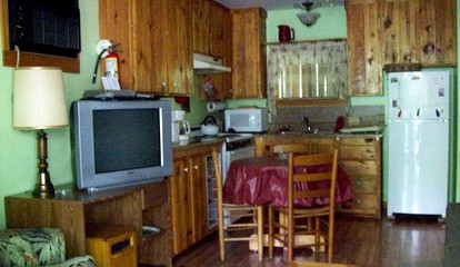 Comfortable Cottage Nestled on a Creek near Great Smoky Mountains National Park, Tennessee - Cosby, Tennessee - glamping.directory