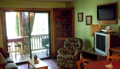 Comfortable Cottage Nestled on a Creek near Great Smoky Mountains National Park, Tennessee - Cosby, Tennessee - glamping.directory