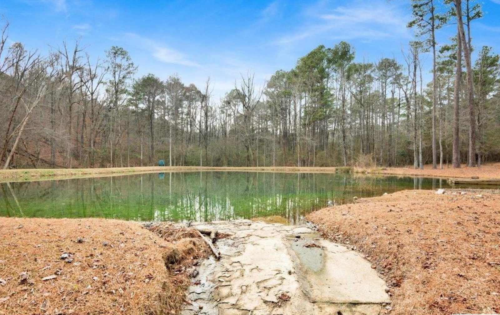 The Perfect 6 - Birmingham, Alabama - glamping.directory