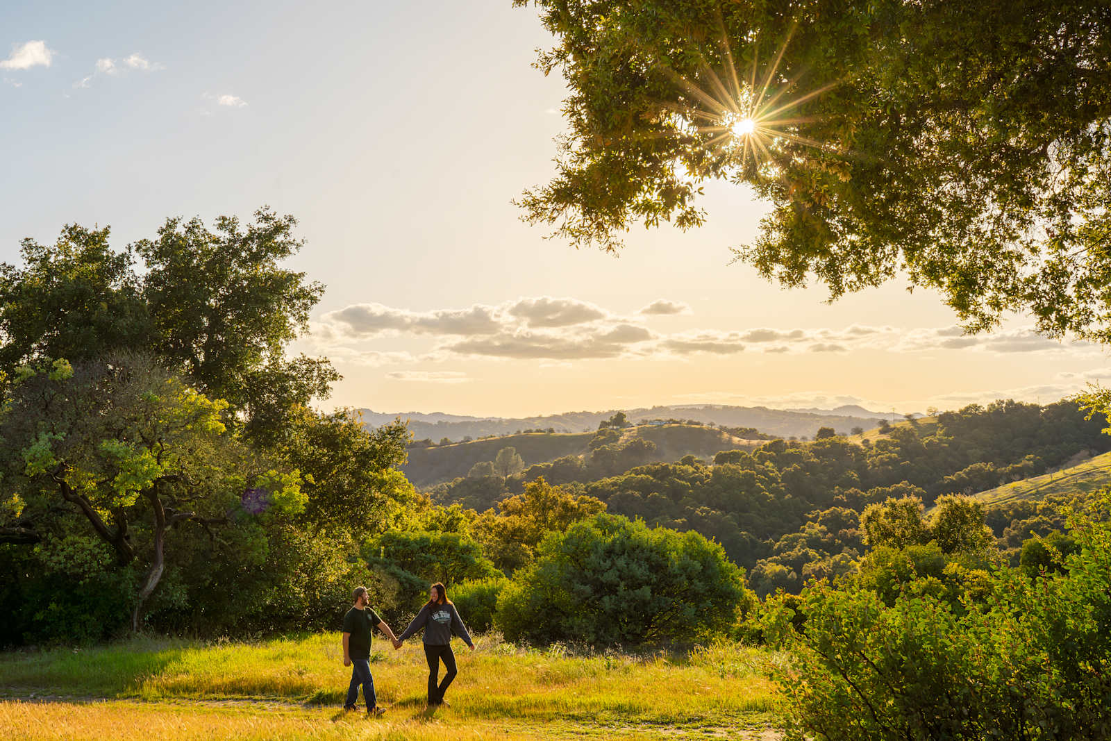 Oak Heart Estate - Paso Robles, California - glamping.directory