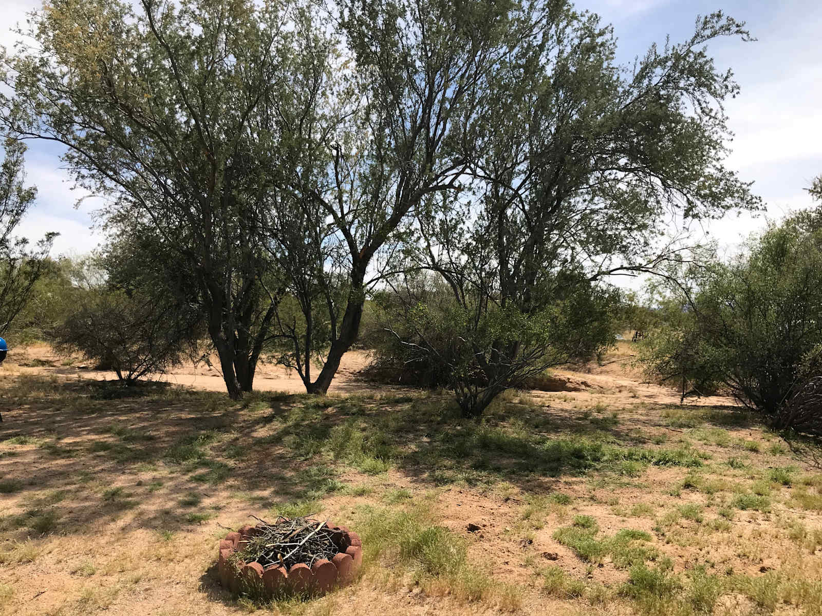 The Garden of Peden - Tucson, Arizona - glamping.directory