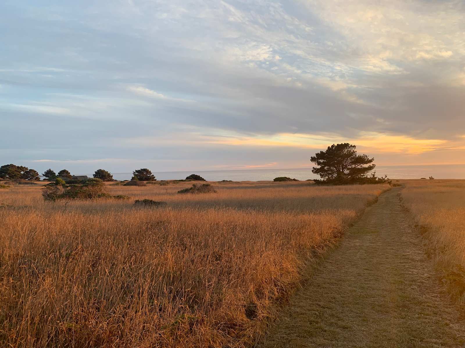 Pine Grove Campground - Mendocino, California - glamping.directory