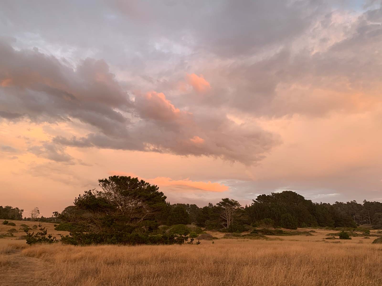 Pine Grove Campground - Mendocino, California - glamping.directory