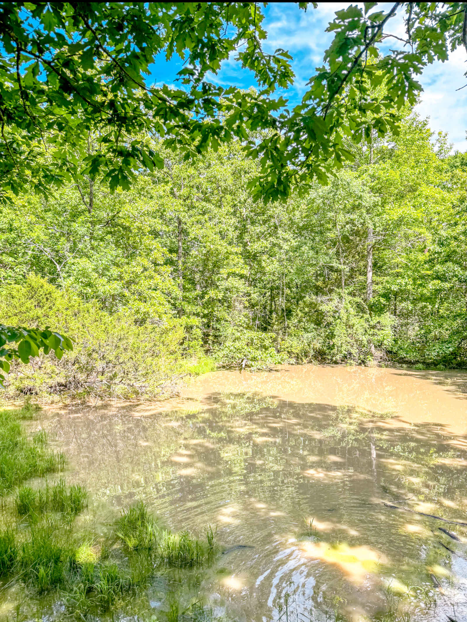 Glamping Tent near Mammoth Spring - Mammoth Spring, Arkansas - glamping.directory