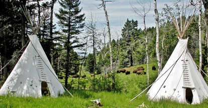 Amazing Bison Ranch with Western Flair near Yellowstone, Montana - glamping.directory