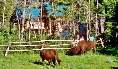 Amazing Bison Ranch with Western Flair near Yellowstone, Montana - Townsend, Montana - glamping.directory