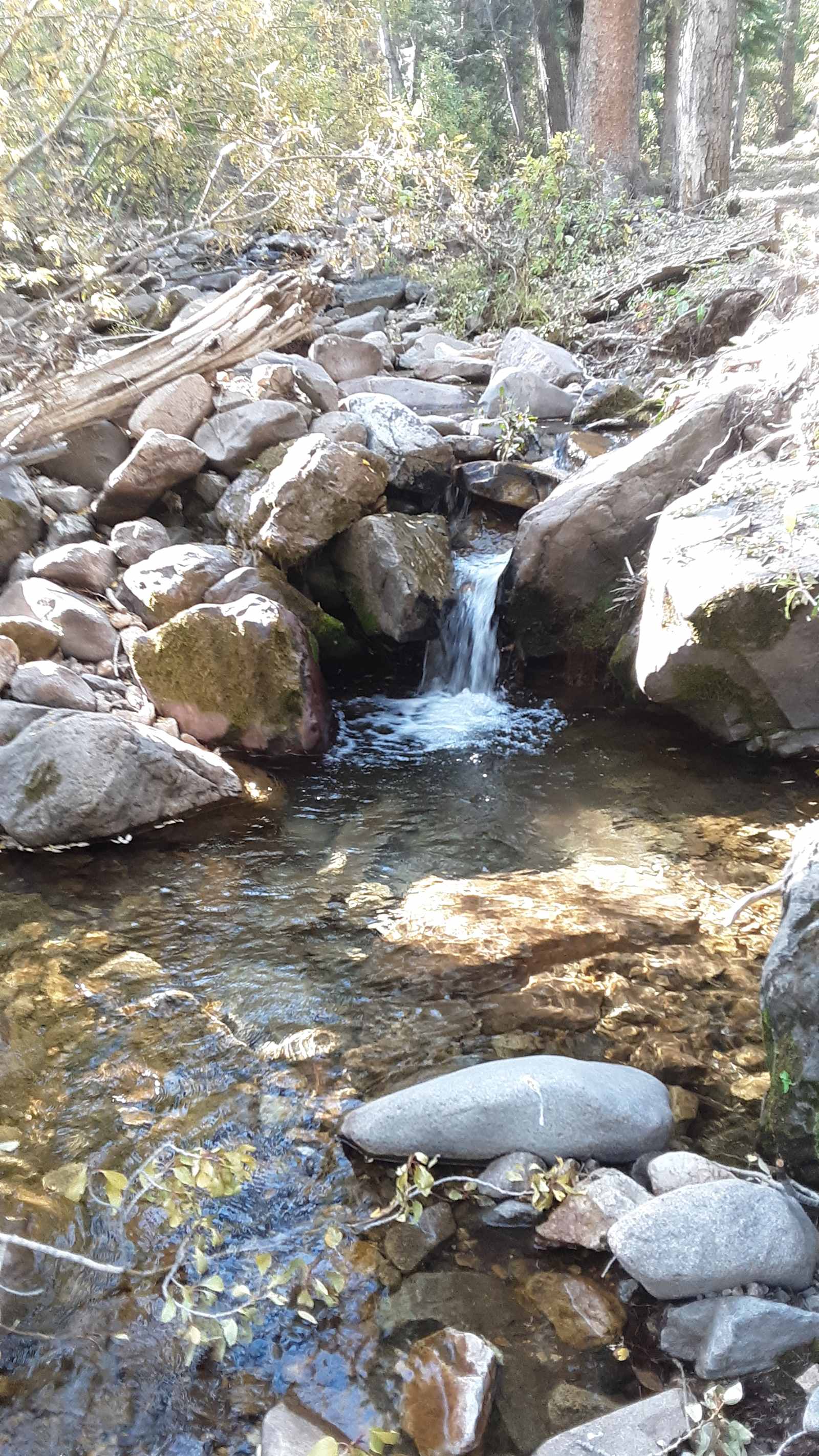Durango Placer - glamping.directory