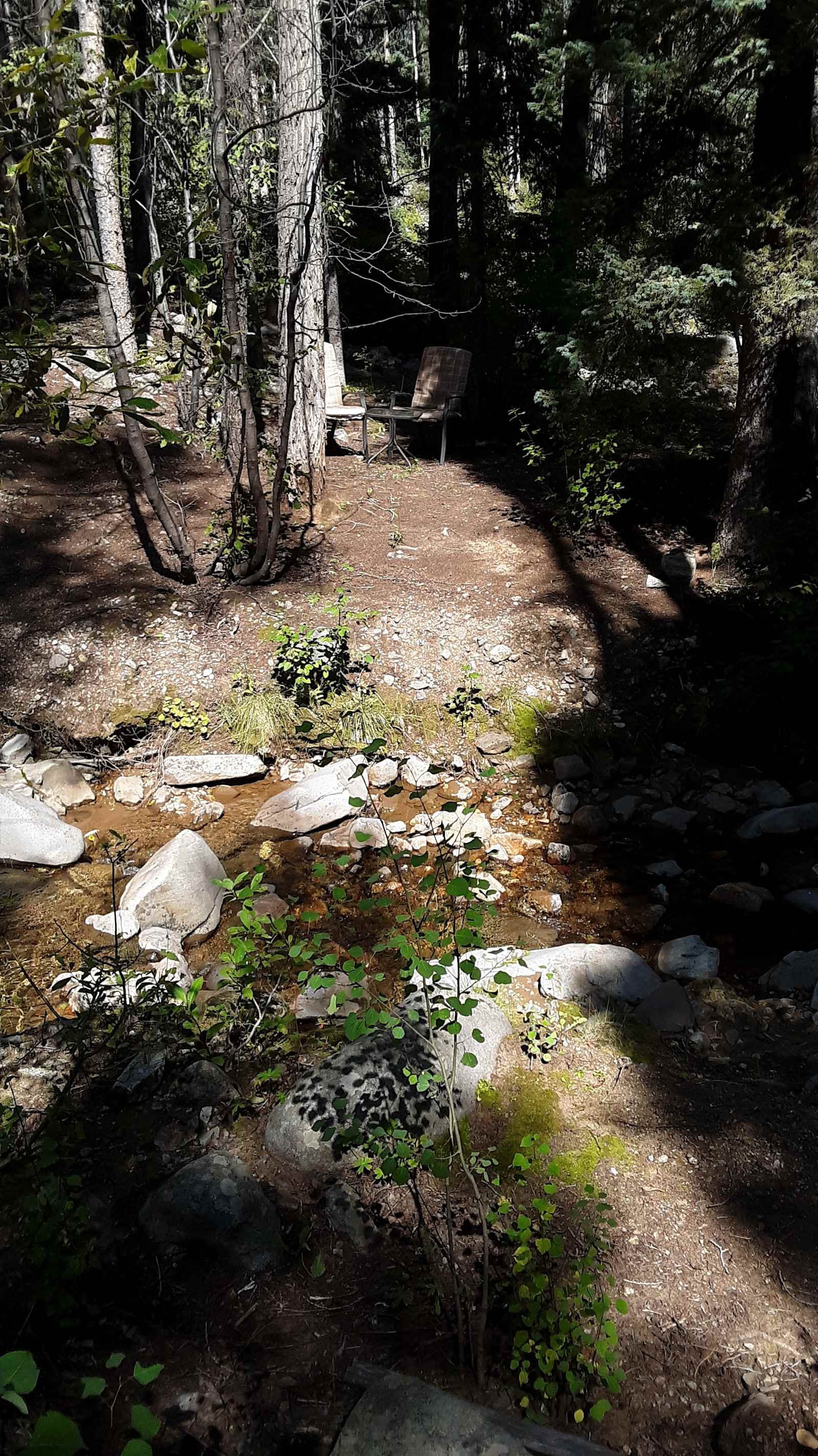 Durango Placer - Hesperus, Colorado - glamping.directory