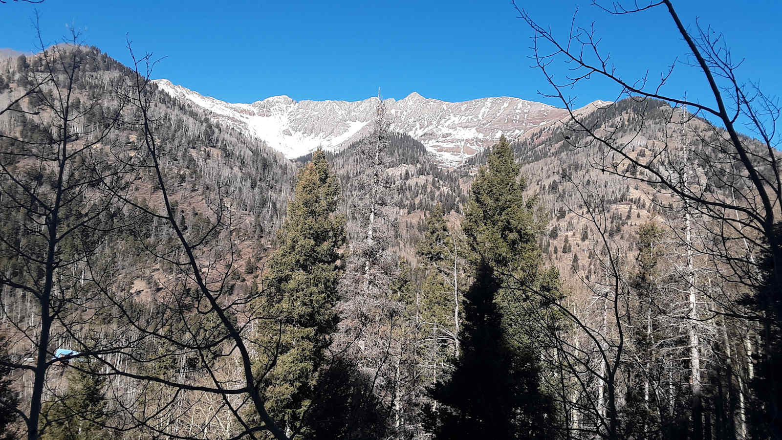 Durango Placer - Hesperus, Colorado - glamping.directory