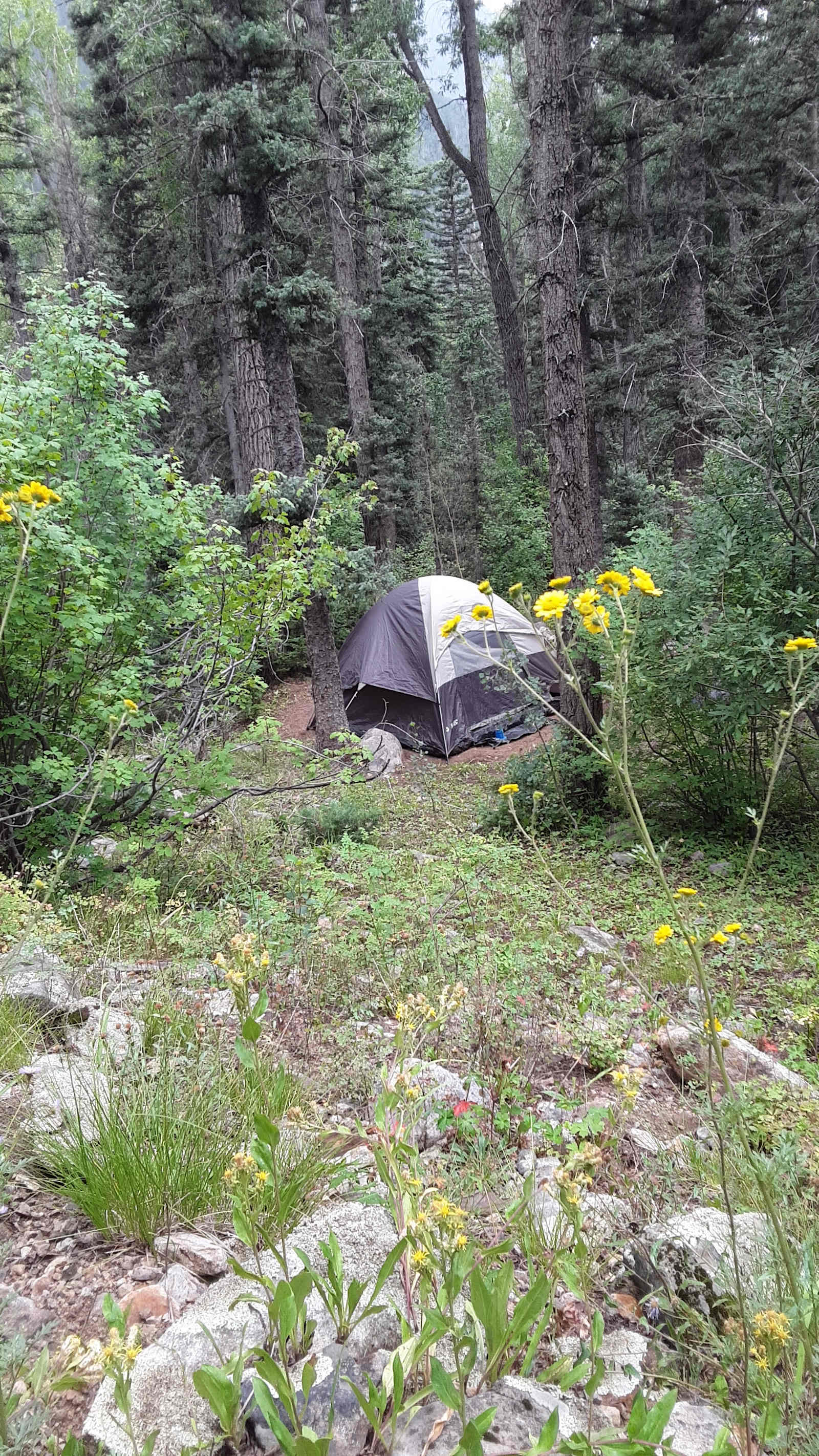 Durango Placer - Hesperus, Colorado - glamping.directory