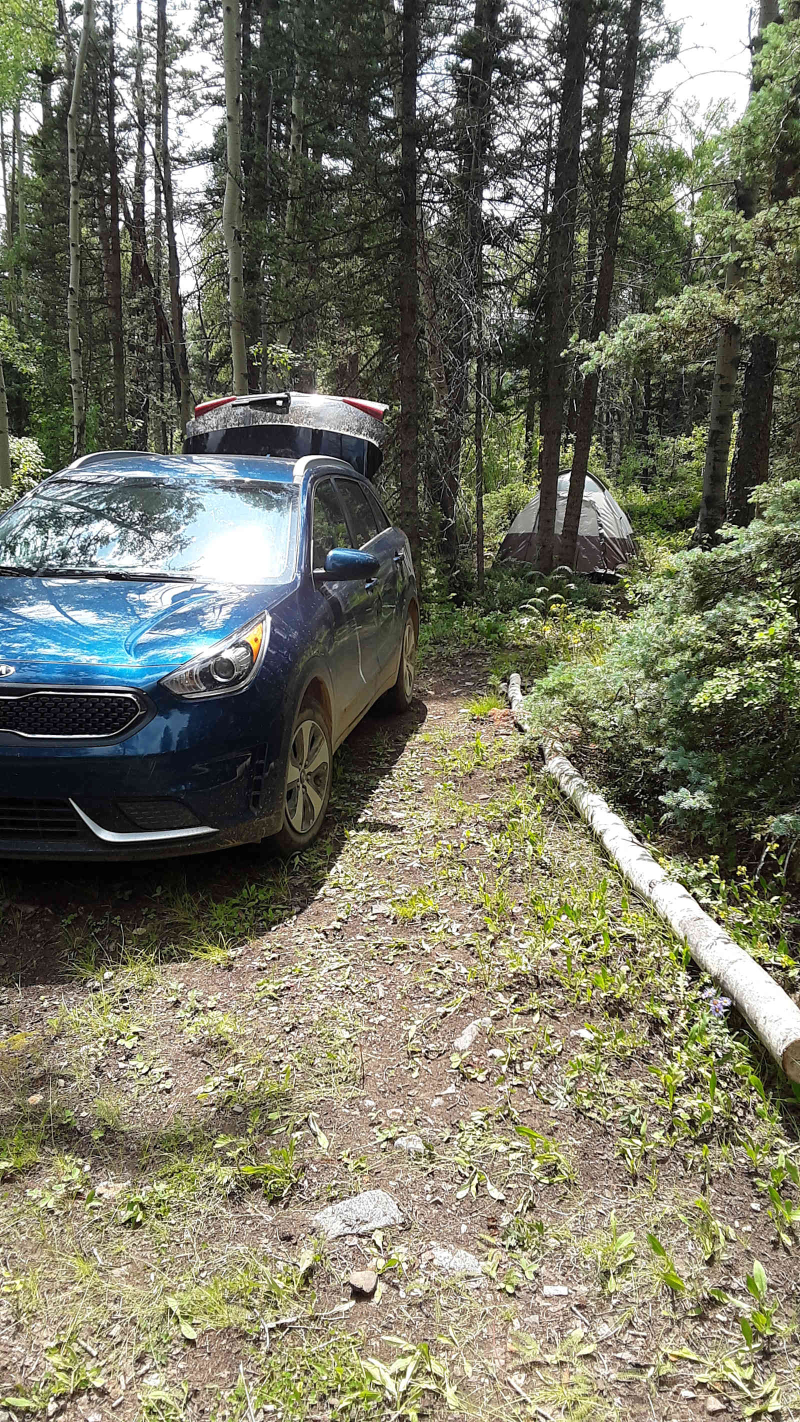 Durango Placer - Hesperus, Colorado - glamping.directory