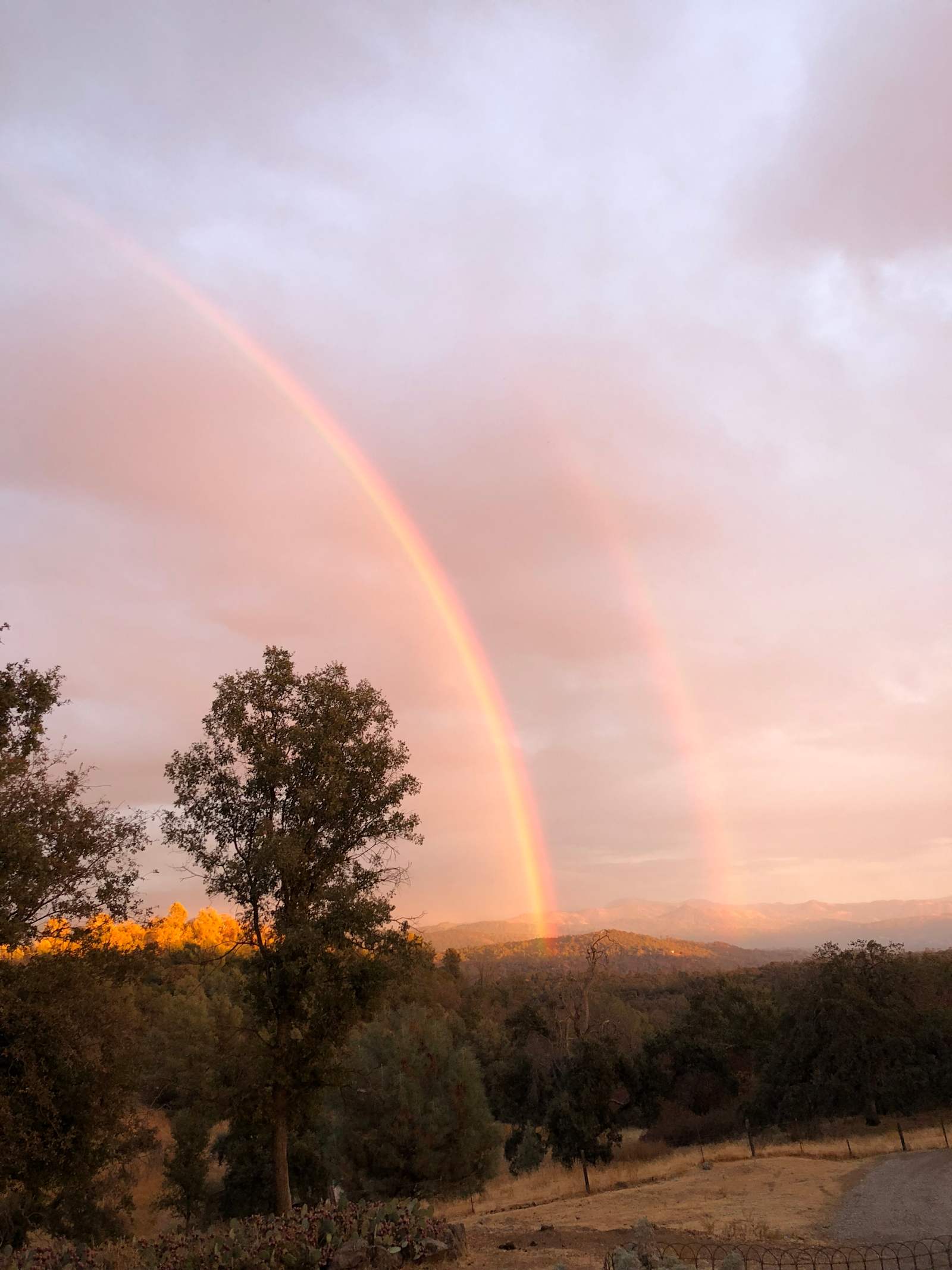 Camp with Critters - Mariposa, California - glamping.directory