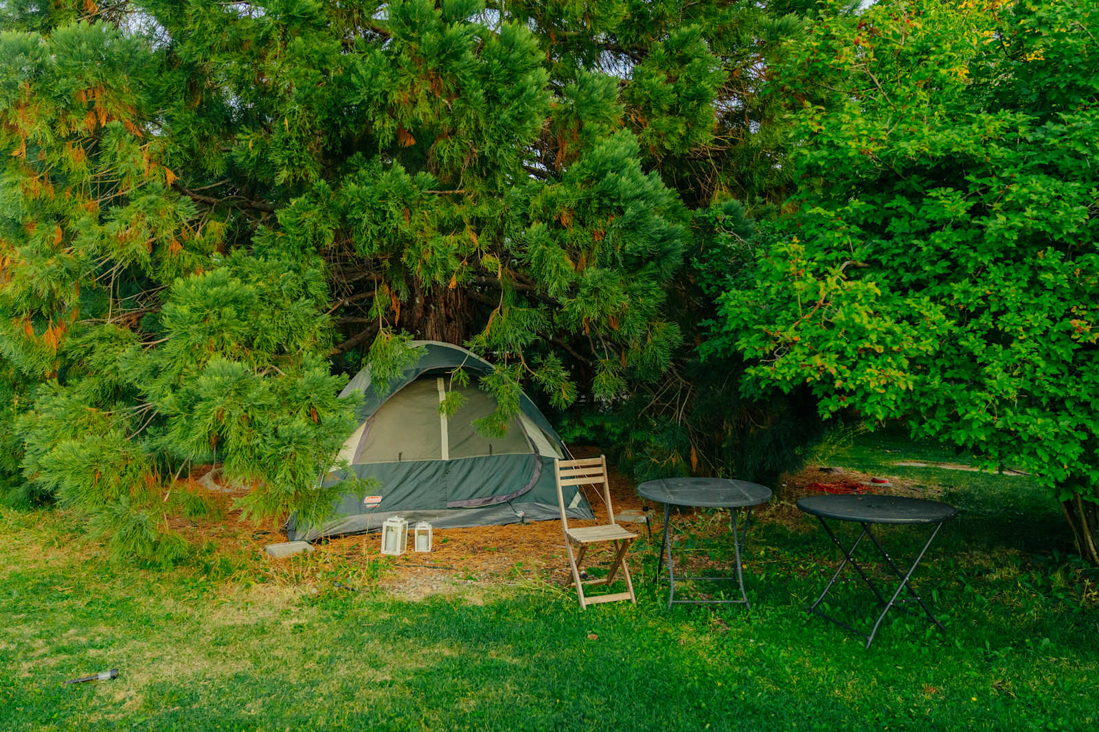 Shasta Gardens - Mount Shasta, California - glamping.directory
