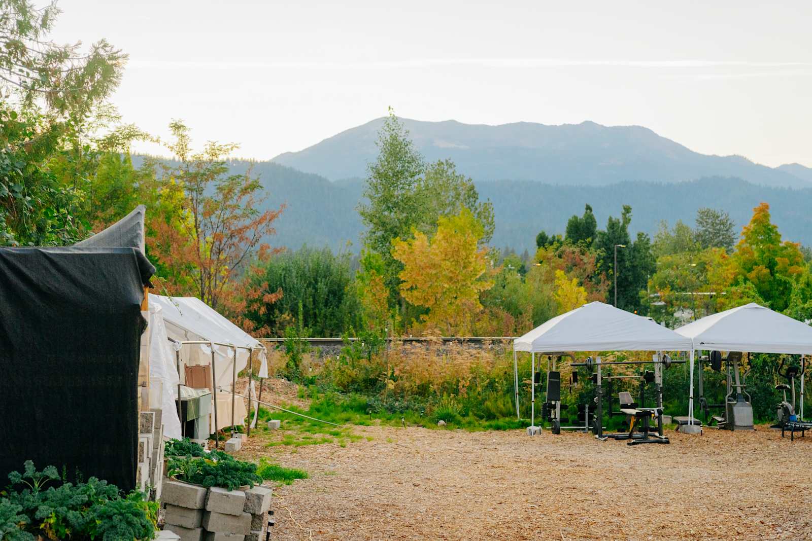 Shasta Gardens - Mount Shasta, California - glamping.directory