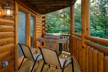 Cozy Cosby Cabin Rental with a Heated Indoor Pool - Cosby, Tennessee - glamping.directory