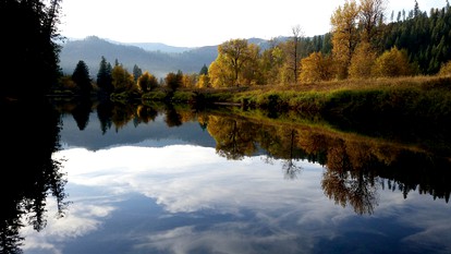 Romantic Getaway for Two in a Peaceful Suite near Coeur d'Alene, Idaho - Careywood, Idaho - glamping.directory