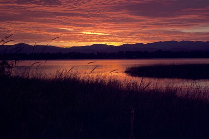 Romantic Getaway for Two in a Peaceful Suite near Coeur d'Alene, Idaho - Careywood, Idaho - glamping.directory