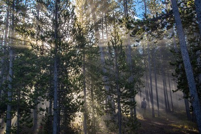 Romantic Getaway for Two in a Peaceful Suite near Coeur d'Alene, Idaho - Careywood, Idaho - glamping.directory