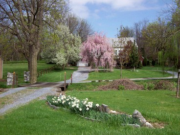 Spacious Cottage Rental with Creek Views near Harrisburg and Hershey, Pennsylvania - glamping.directory