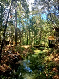 Secluded Container with BBQ for a Waterfront Retreat, Perfect for Fishing and Roasting S'Mores in Grimes County, Texas - Grimes County, Texas - glamping.directory