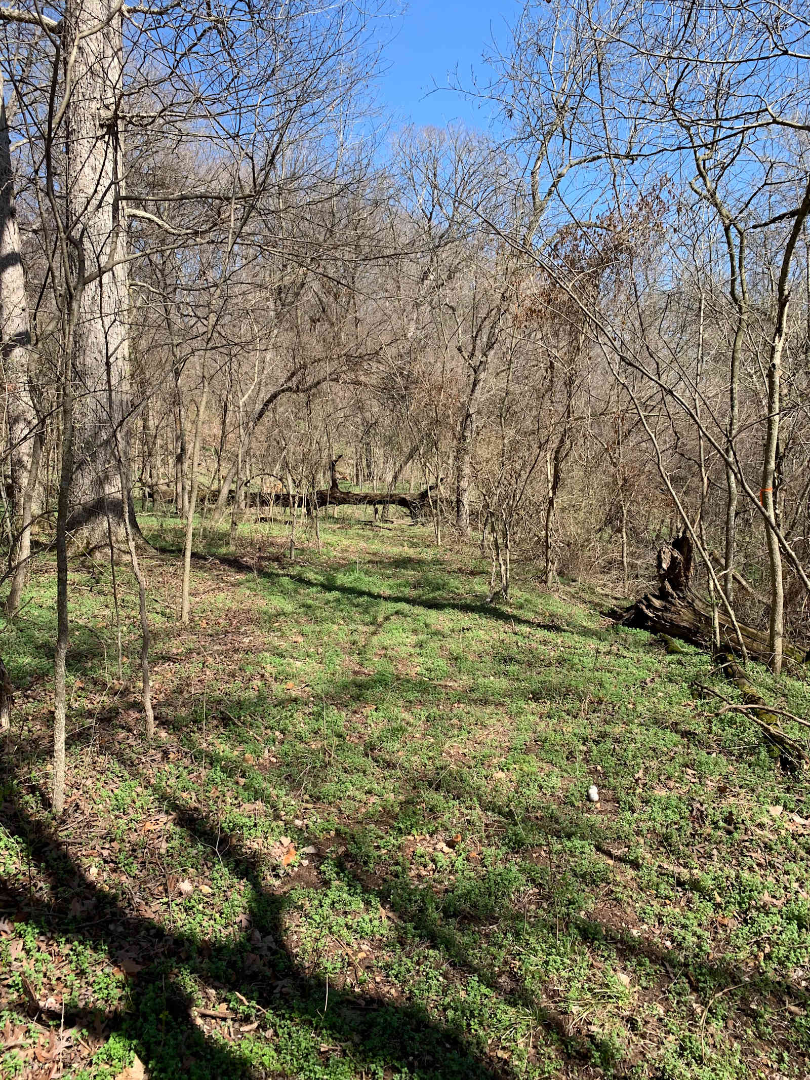 Flint Creek Endurance Heaven - Gentry, Arkansas - glamping.directory