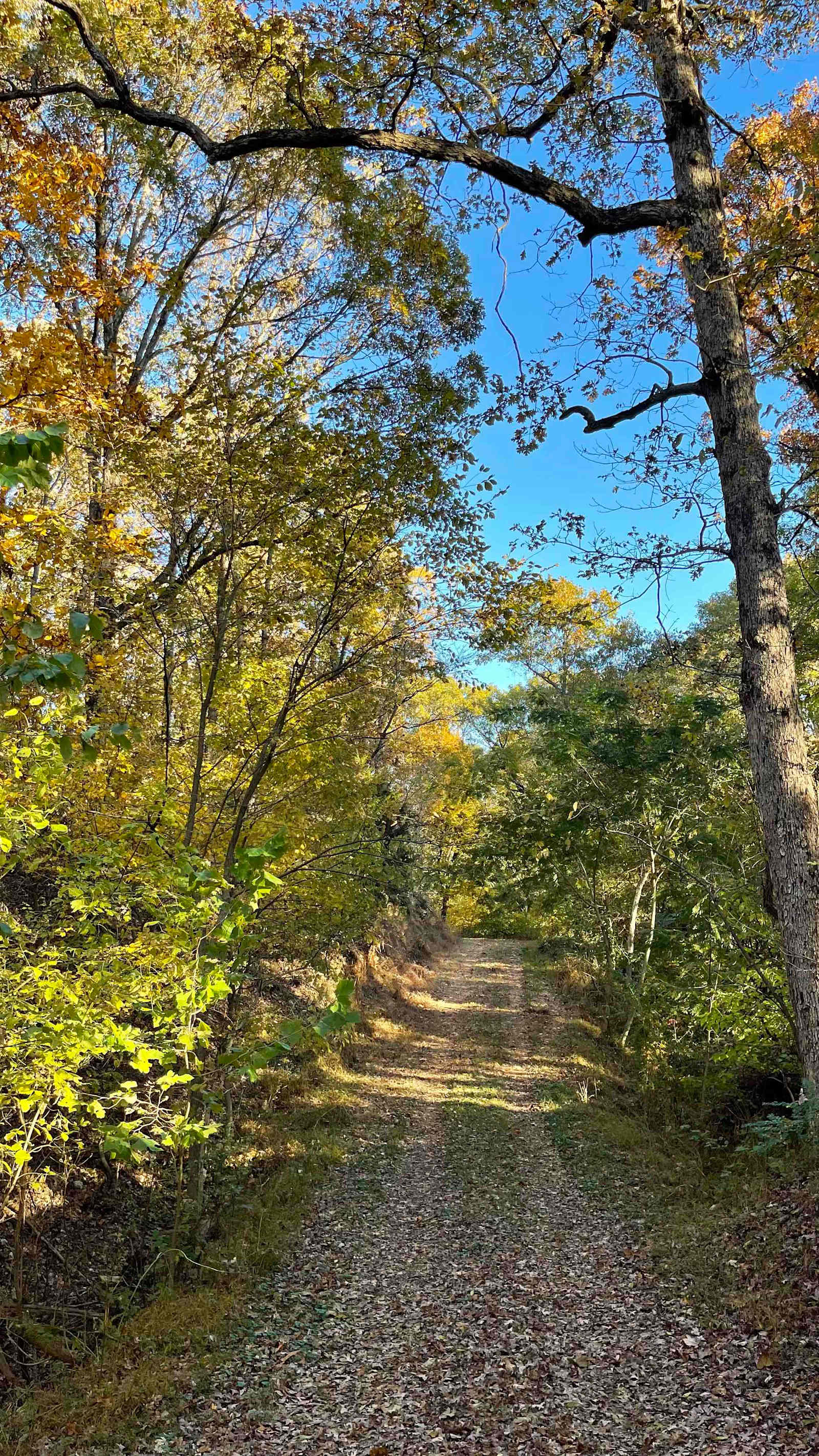 Flint Creek Endurance Heaven - Gentry, Arkansas - glamping.directory